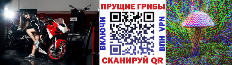 Псилоцибиновые грибы Magic Shrooms  shop Telegram  Муром 