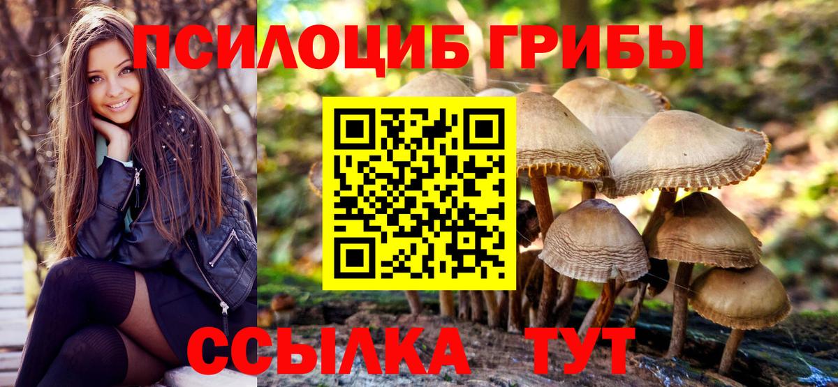 Псилоцибиновые грибы Psilocybine cubensis Муром