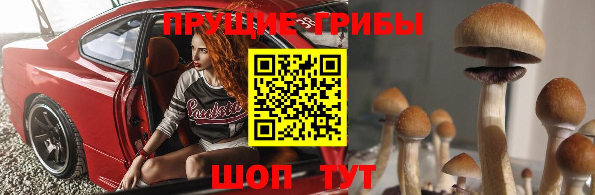 Галлюциногенные грибы Magic Shrooms  Галлюциногенные грибы Psilocybe  Вход с VPN  Муром 