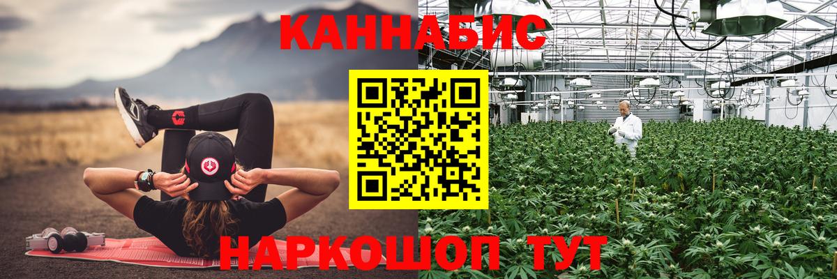 Бошки Шишки планчик Муром